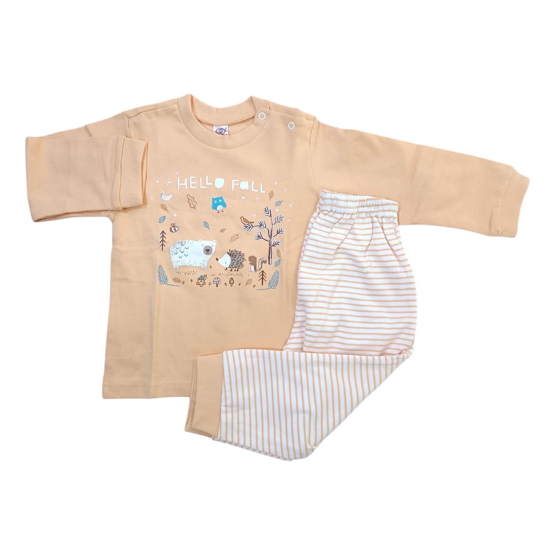 Sweat Shirt & Pant / 3 to 6 Month