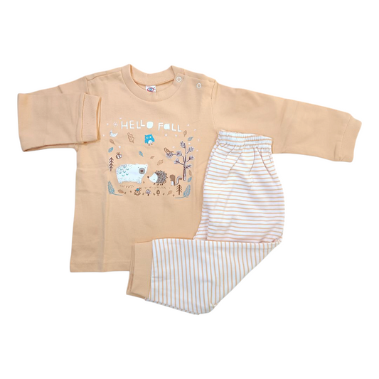 Sweat Shirt & Pant / 3 to 6 Month
